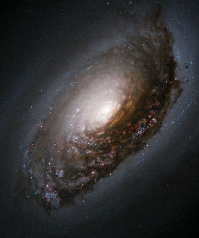 Spiral Galaxy M64