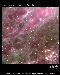 Hodge 301 in the Tarantula Nebula