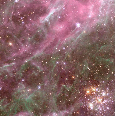 Hodge 301 in the Tarantula Nebula
