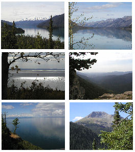 New Alexandria Press Online Store