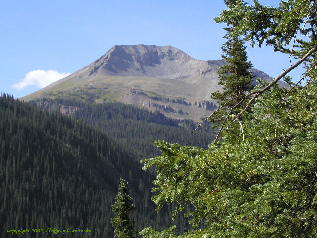 Colorado Mountains Through the Trees