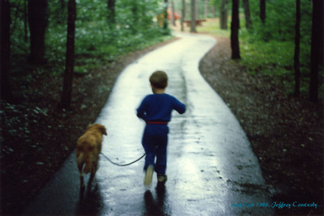 Shadows of Hartwick Pines
